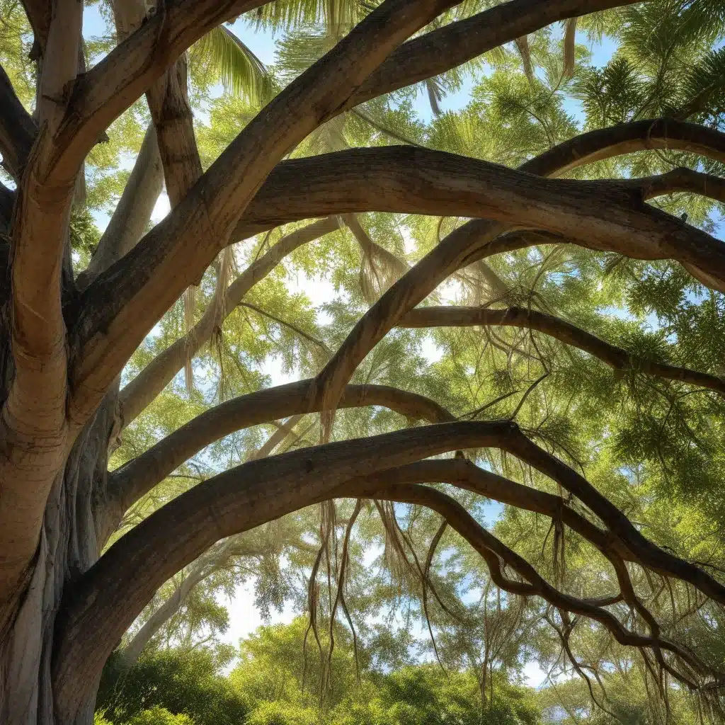 Preserving Heritage Trees: A Guide for Palm Beach County Homeowners