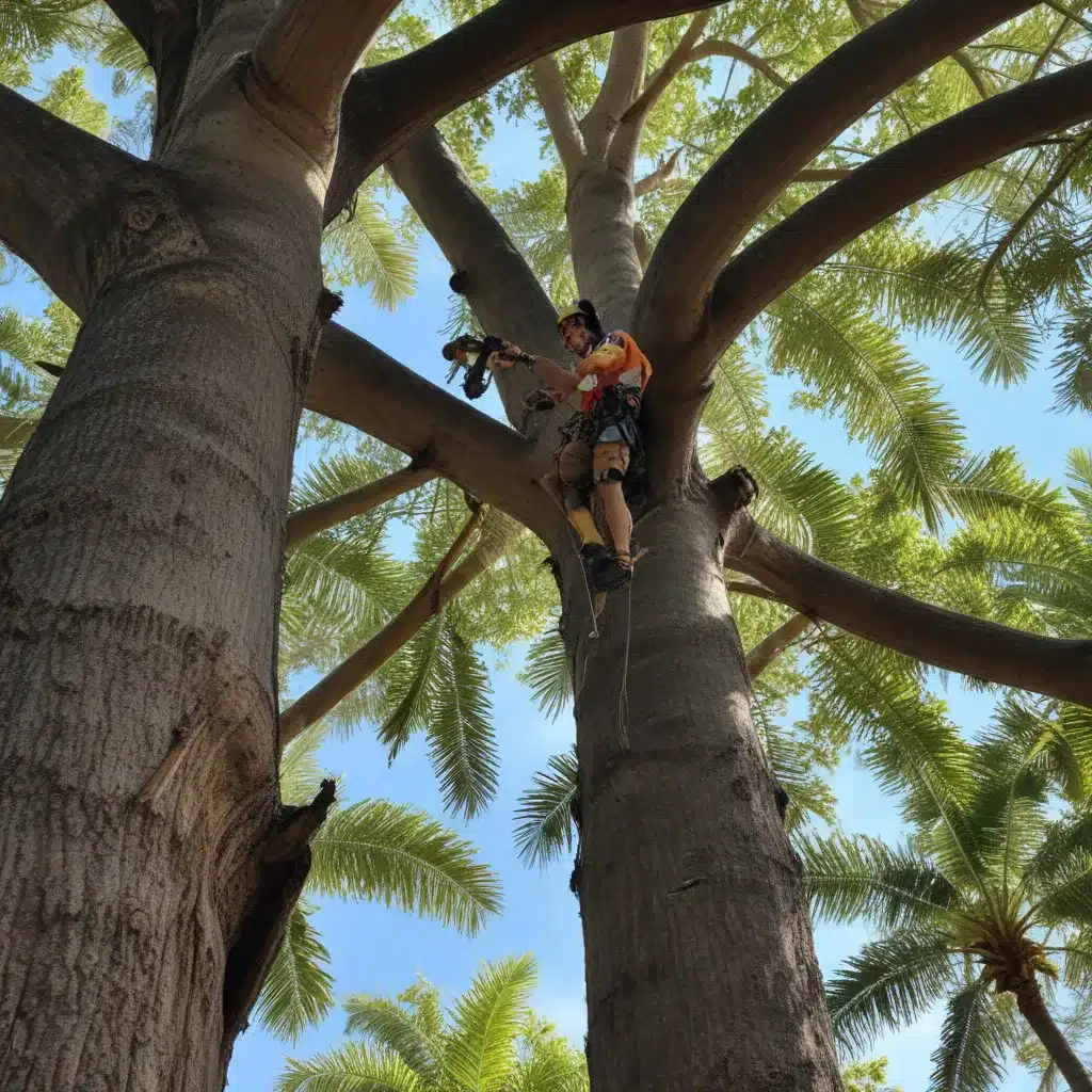 Preserving Heritage Trees: Arborists’ Specialized Techniques for Protecting Iconic Flora in Palm Beach County