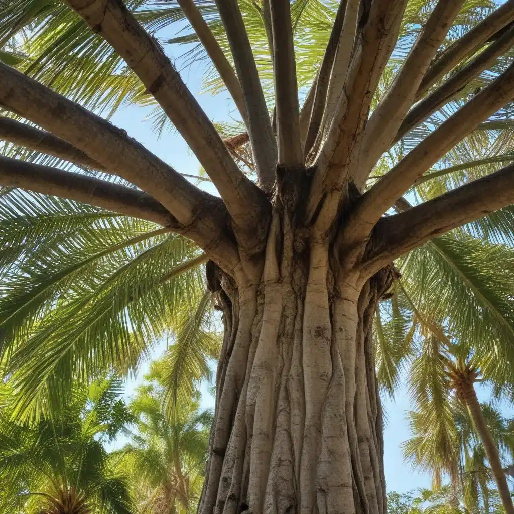 Preventing Hazardous Tree Situations in Palm Beach: Proactive Measures