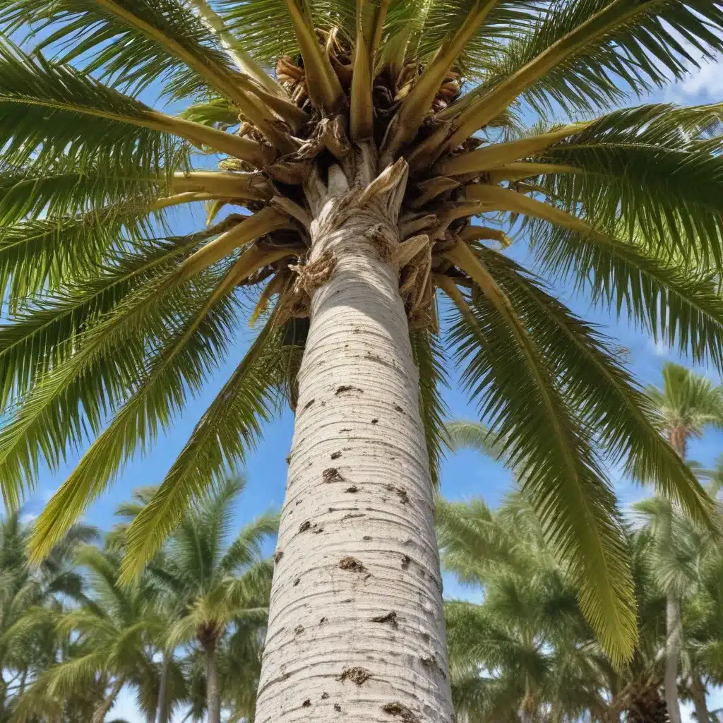Protecting Palm Beach Trees from Pest Infestations: A Comprehensive Management Plan