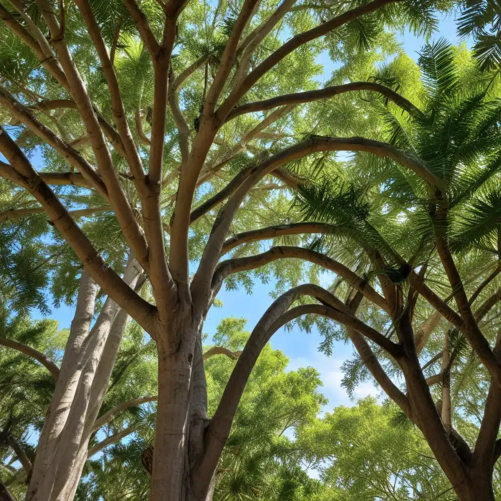 Protecting Your Canopy: Comprehensive Tree Risk Assessments for Palm Beach Properties