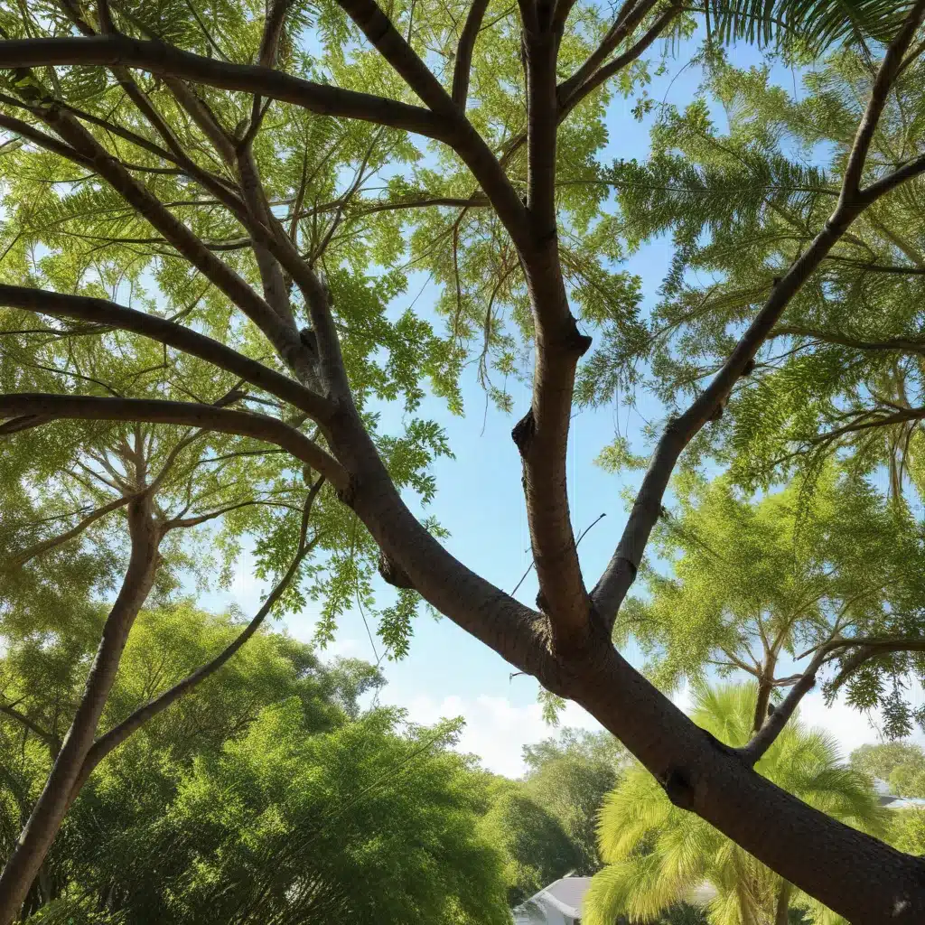 Protecting Your Canopy: Proper Tree Pruning Techniques for Palm Beach Homeowners