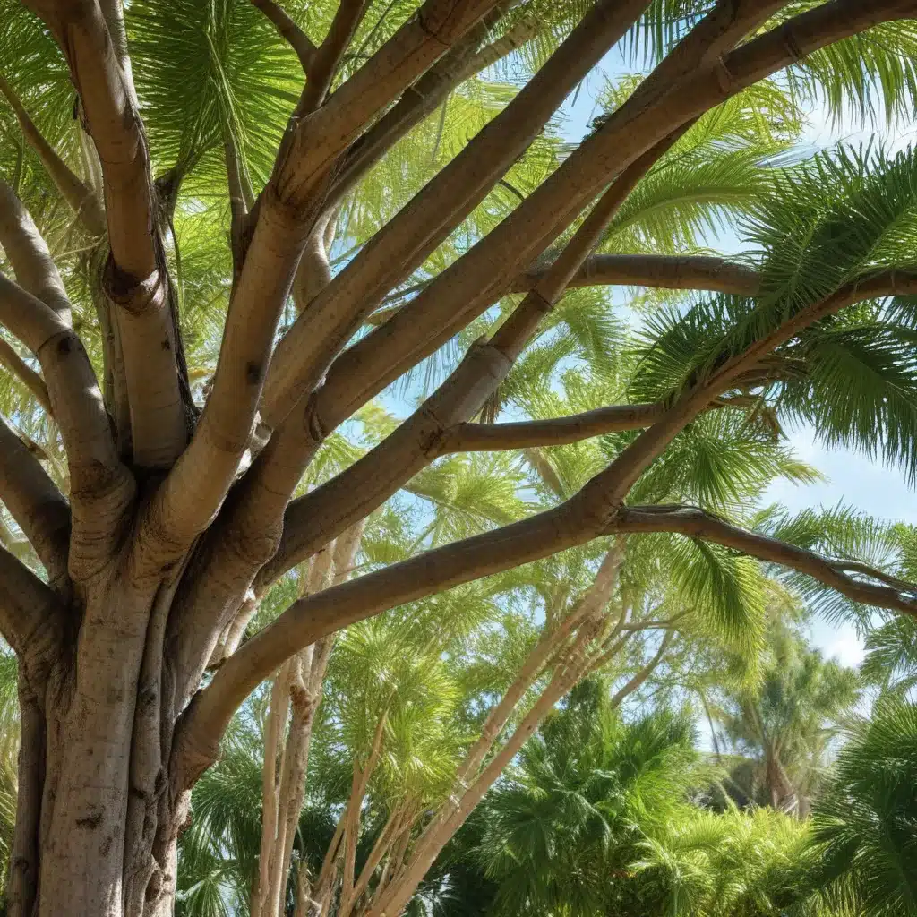 Protecting Your Landscape: Strategies for Proactive Tree Maintenance in Palm Beach