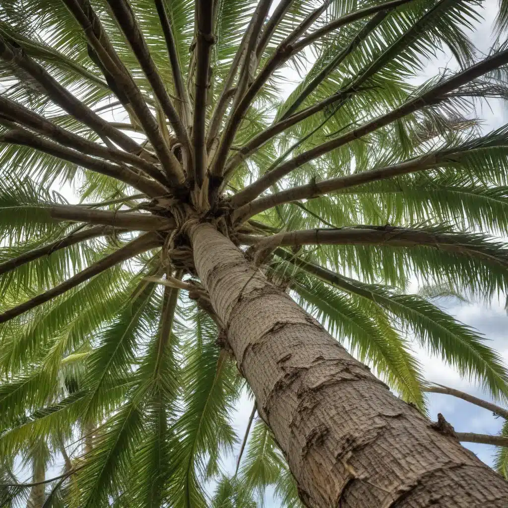 Protecting Your Trees: Strategies for Preventing Storm-Related Damage in Palm Beach