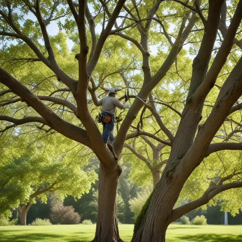 Pruning Perfection: A Step-by-Step Guide for Healthy Trees