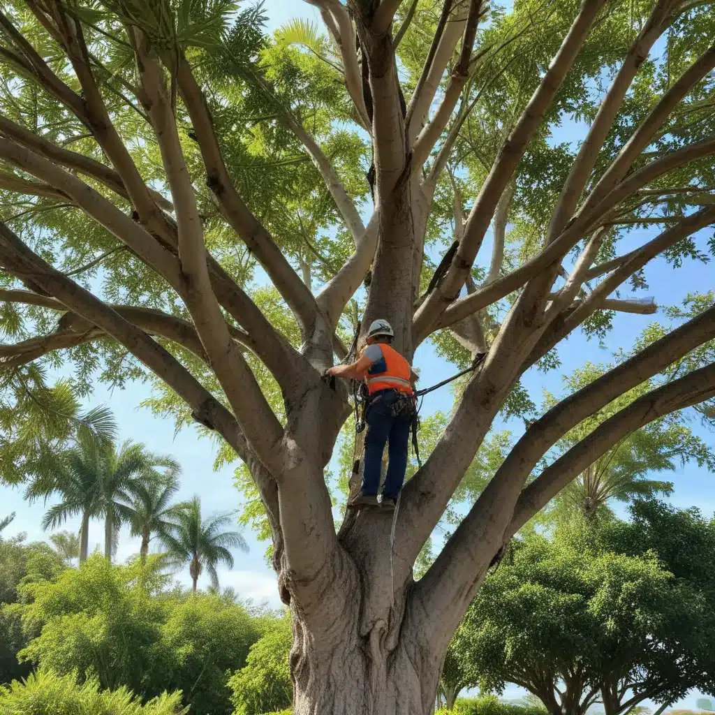 Pruning Perfection: Residential vs. Commercial Tree Trimming in Palm Beach County