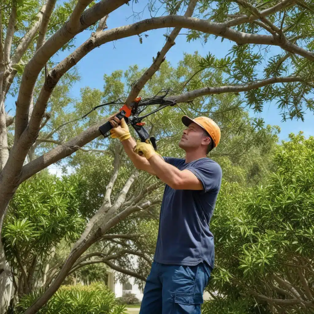 Pruning Prowess: Mastering the Art of Trimming Trees for Optimal Health in Palm Beach