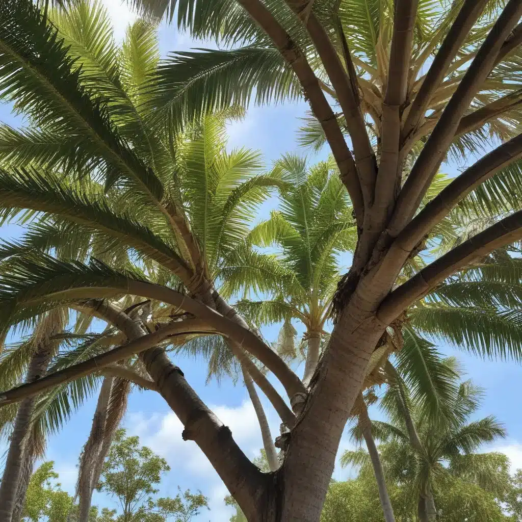 Pruning Prowess: Unlocking the Potential of Palm Beach’s Trees