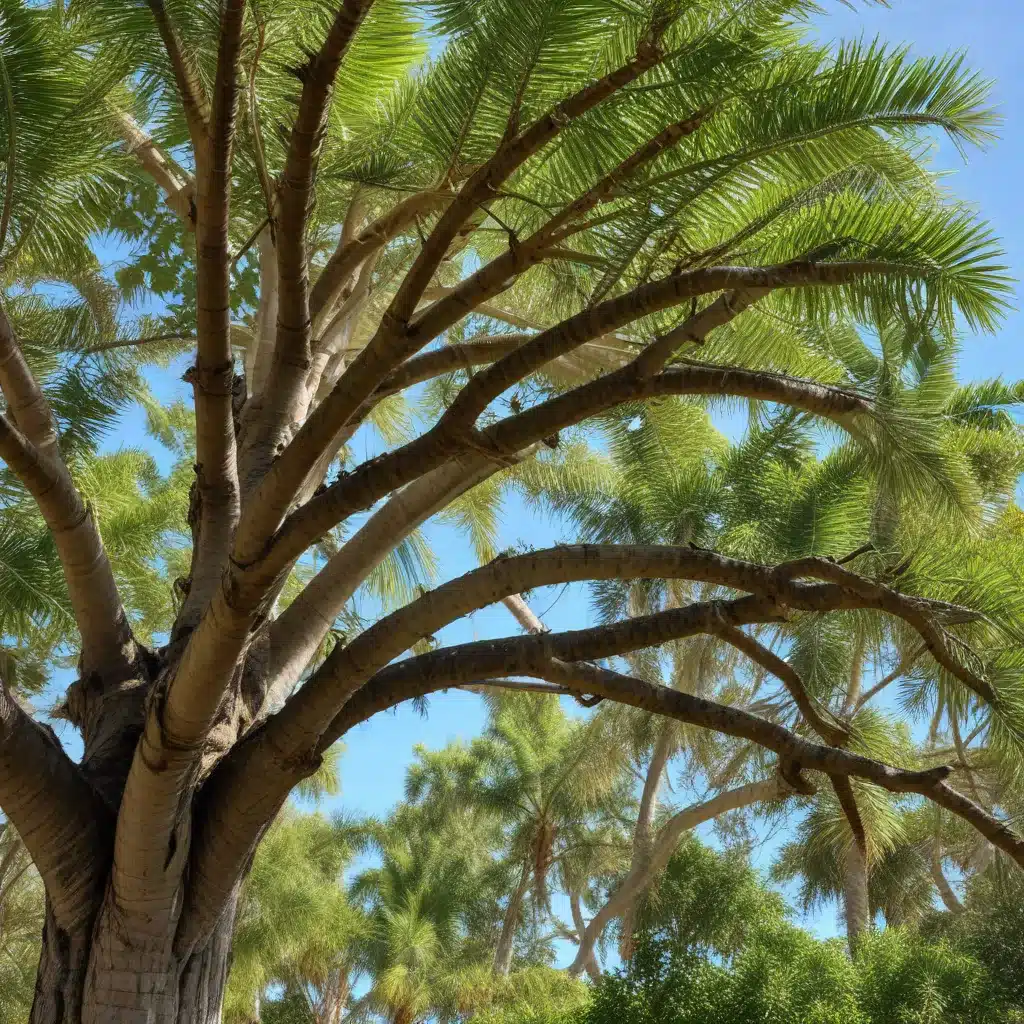 Pruning Strategies for Optimal Tree Growth: Insights for Palm Beach County