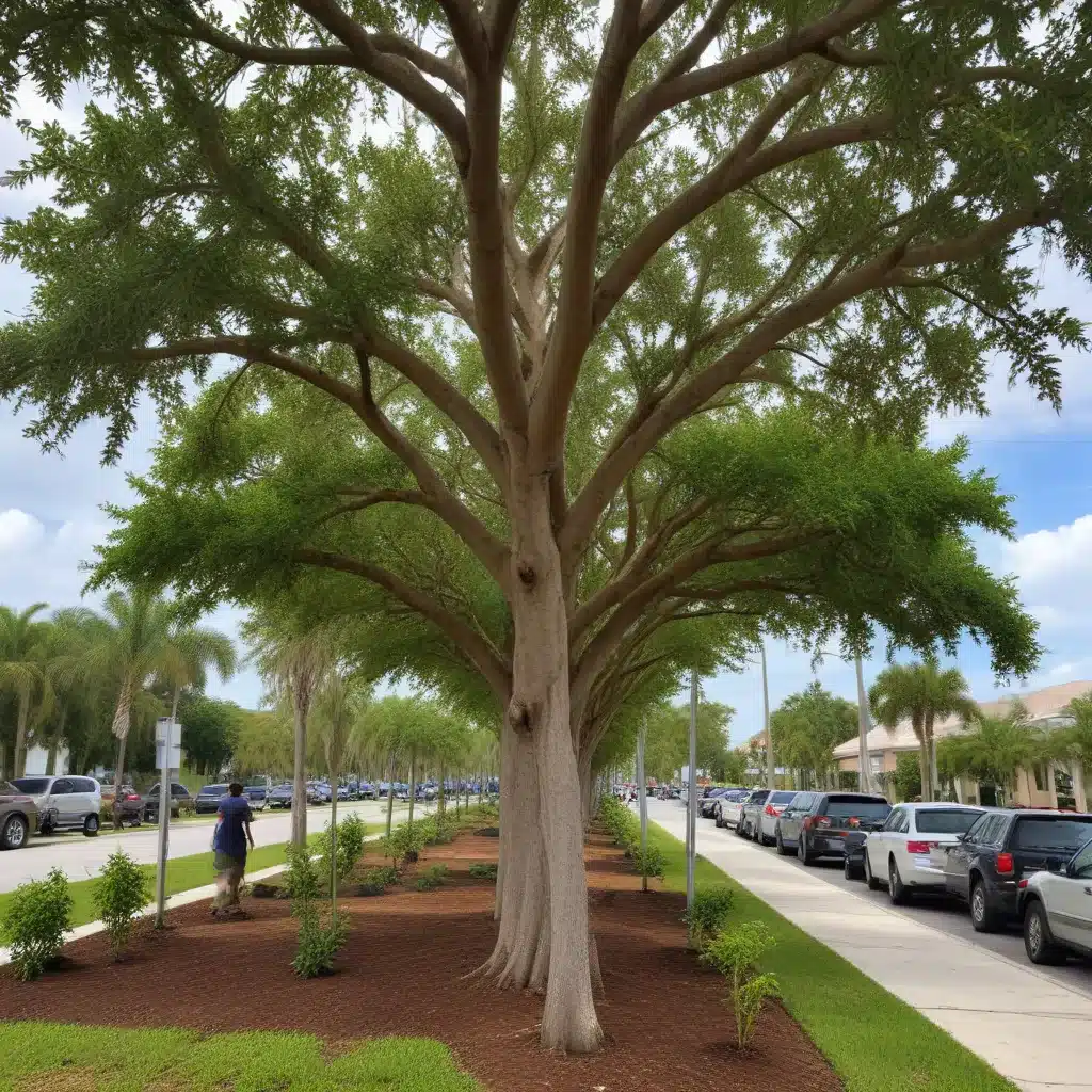 Revitalizing Neighborhood Canopies: Community-Driven Tree Planting Initiatives in Palm Beach County