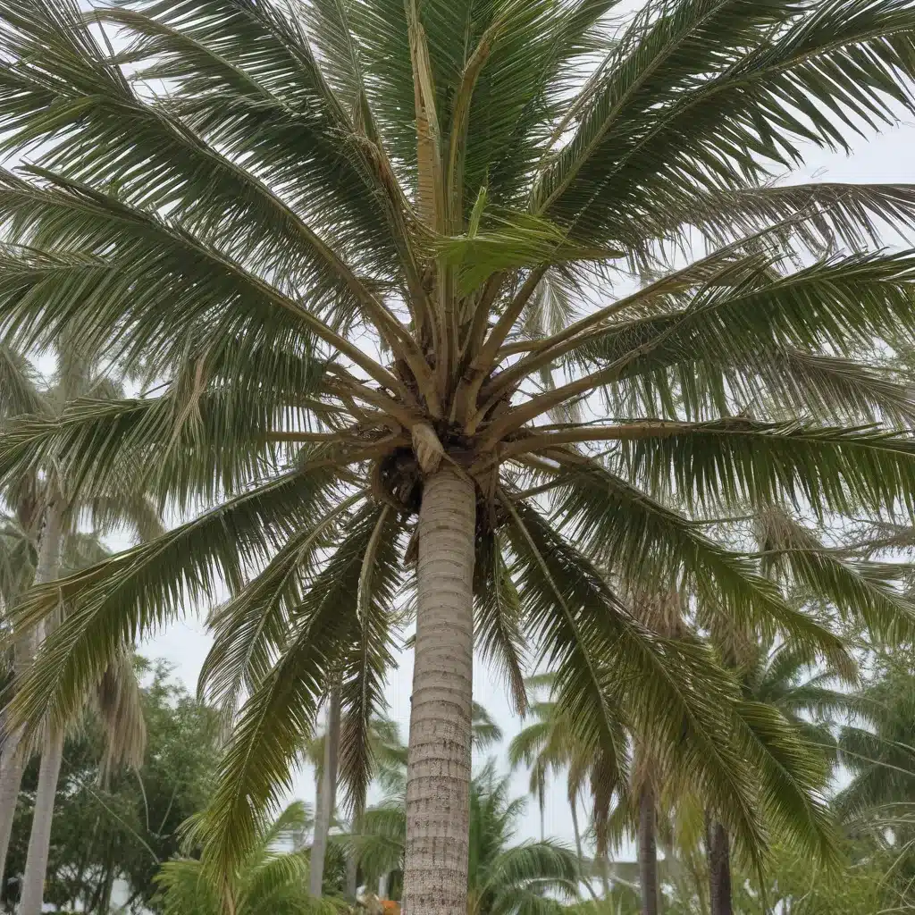 Safeguarding Palm Beach Properties from Storm-Damaged Trees: A Preparedness Plan