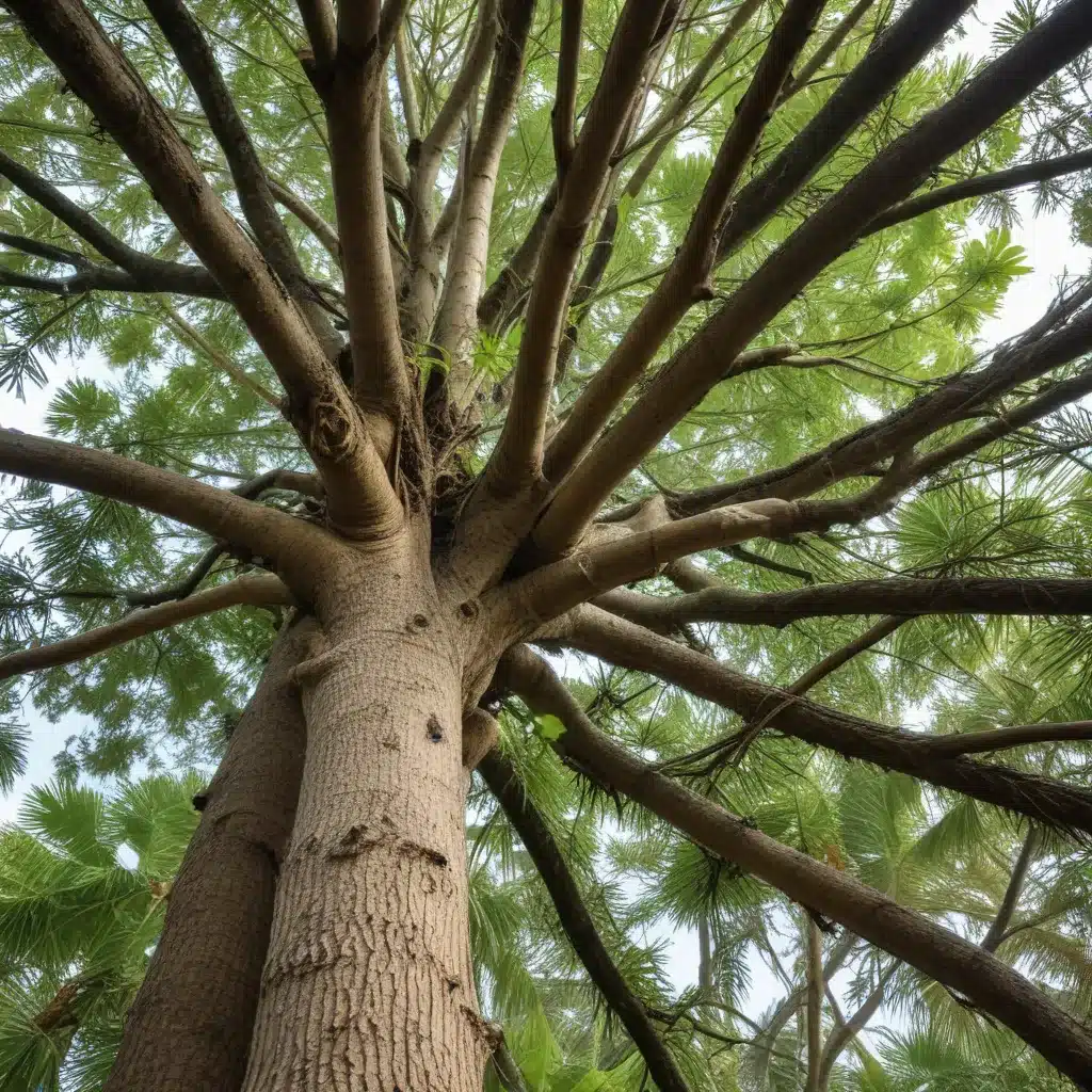 Safeguarding Your Property: Proactive Tree Care for Effective Storm Preparedness in Palm Beach