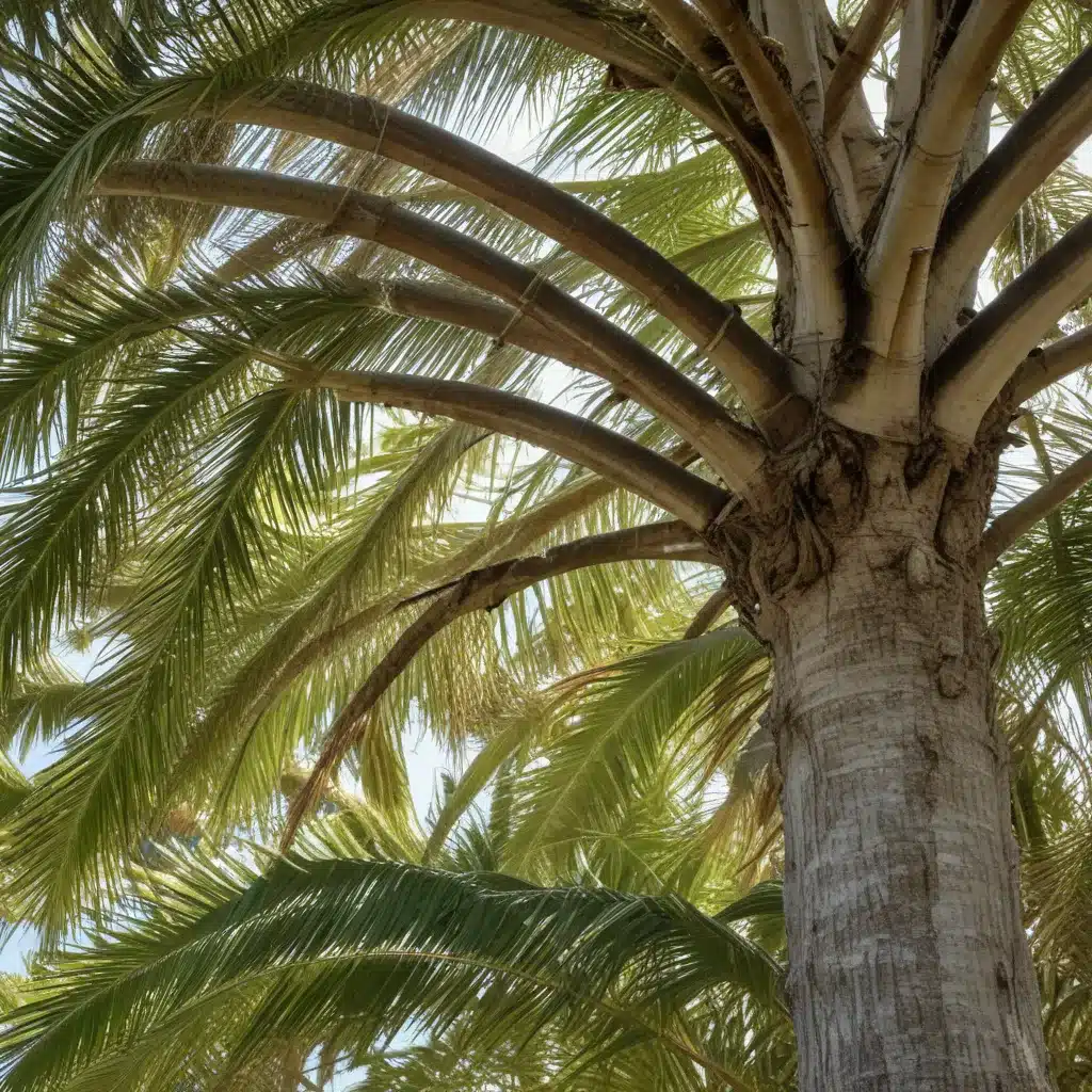 Safeguarding Your Sanctuary: Tree Care Strategies for Disaster-Prone Palm Beach