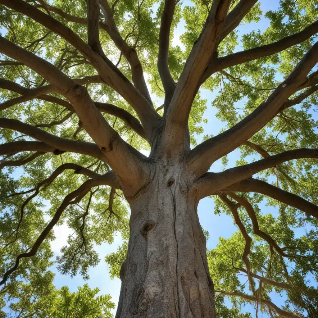 Safeguarding Your Sanctuary: Tree Care Strategies for Preserving Historic Trees in Palm Beach