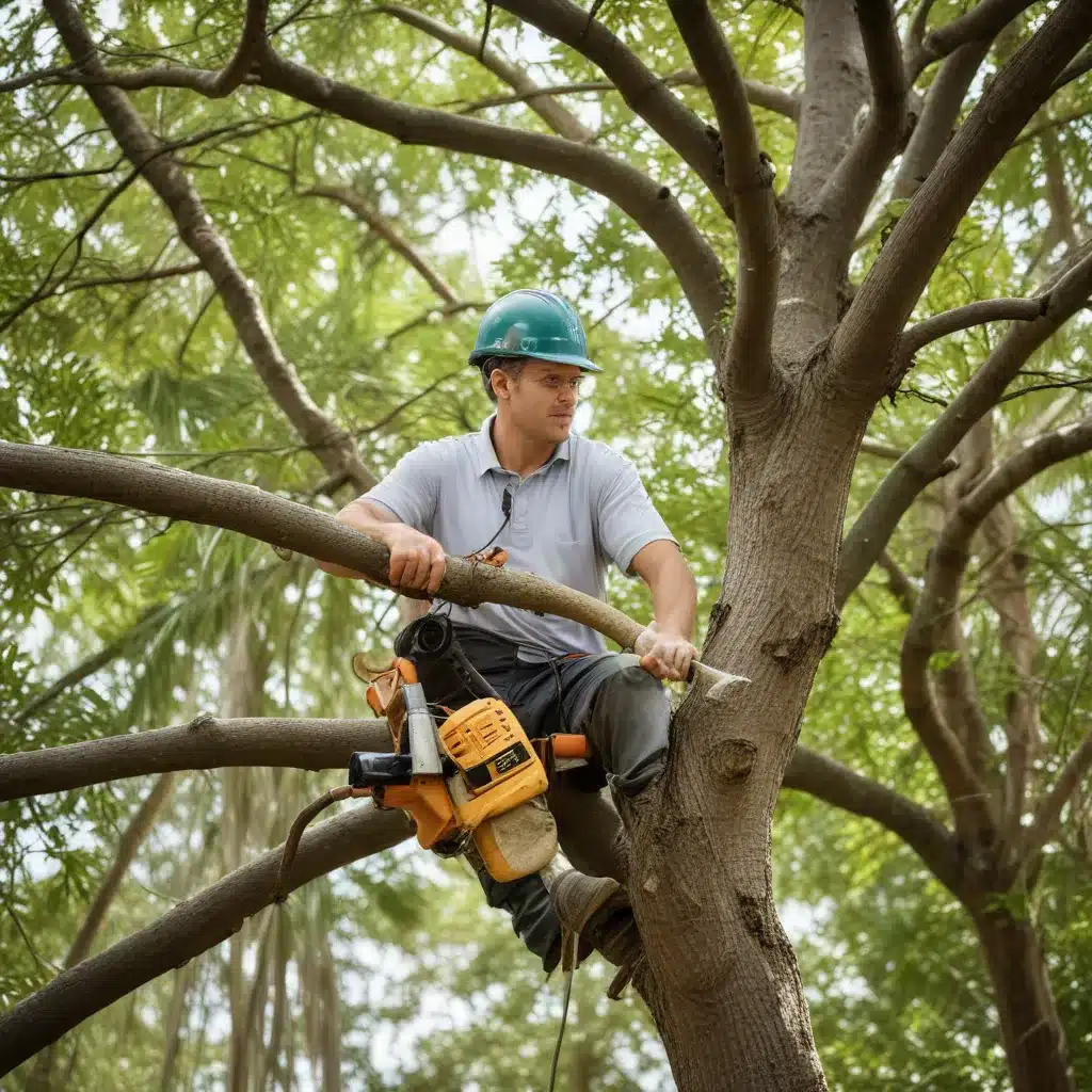 Safeguarding Your Sanctuary: Tree Care Tips for Homeowners in Palm Beach