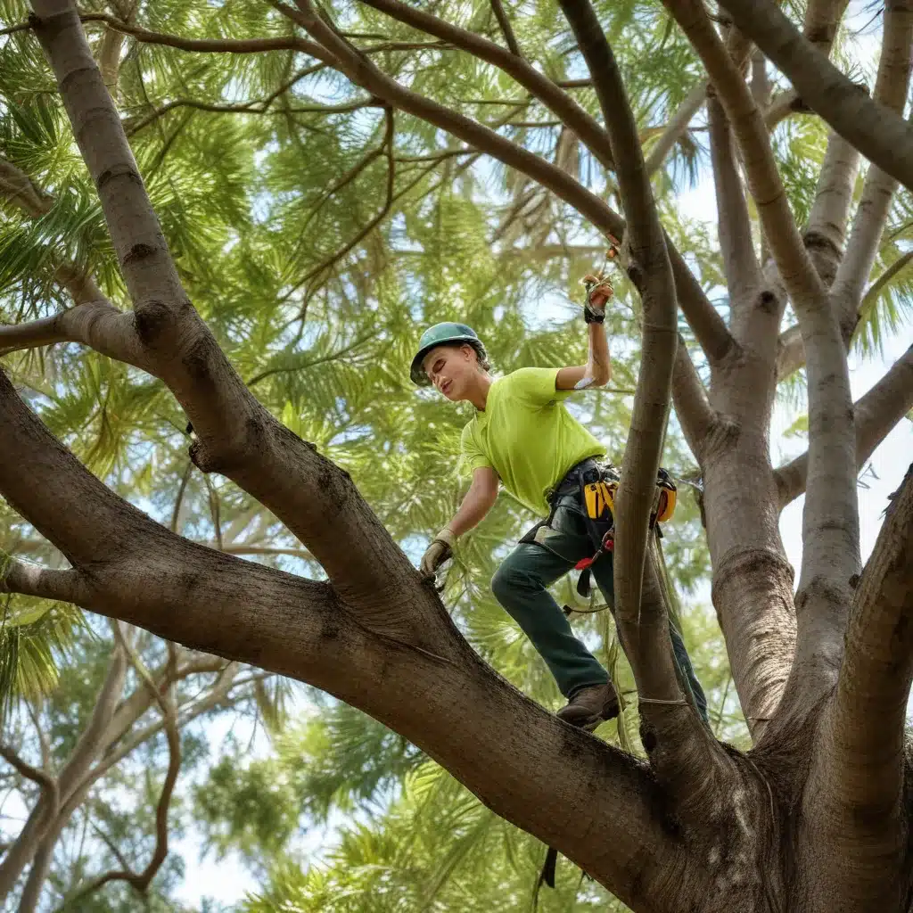 Safeguarding Your Sanctuary: Tree Care for Healthy Outdoor Spaces in Palm Beach