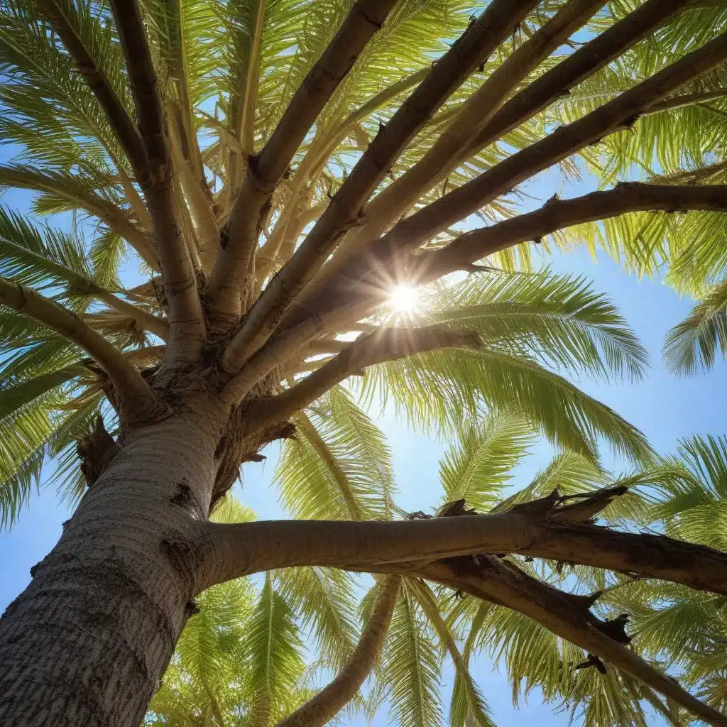 Sustainable Tree Removal: Responsible Practices for Palm Beach County