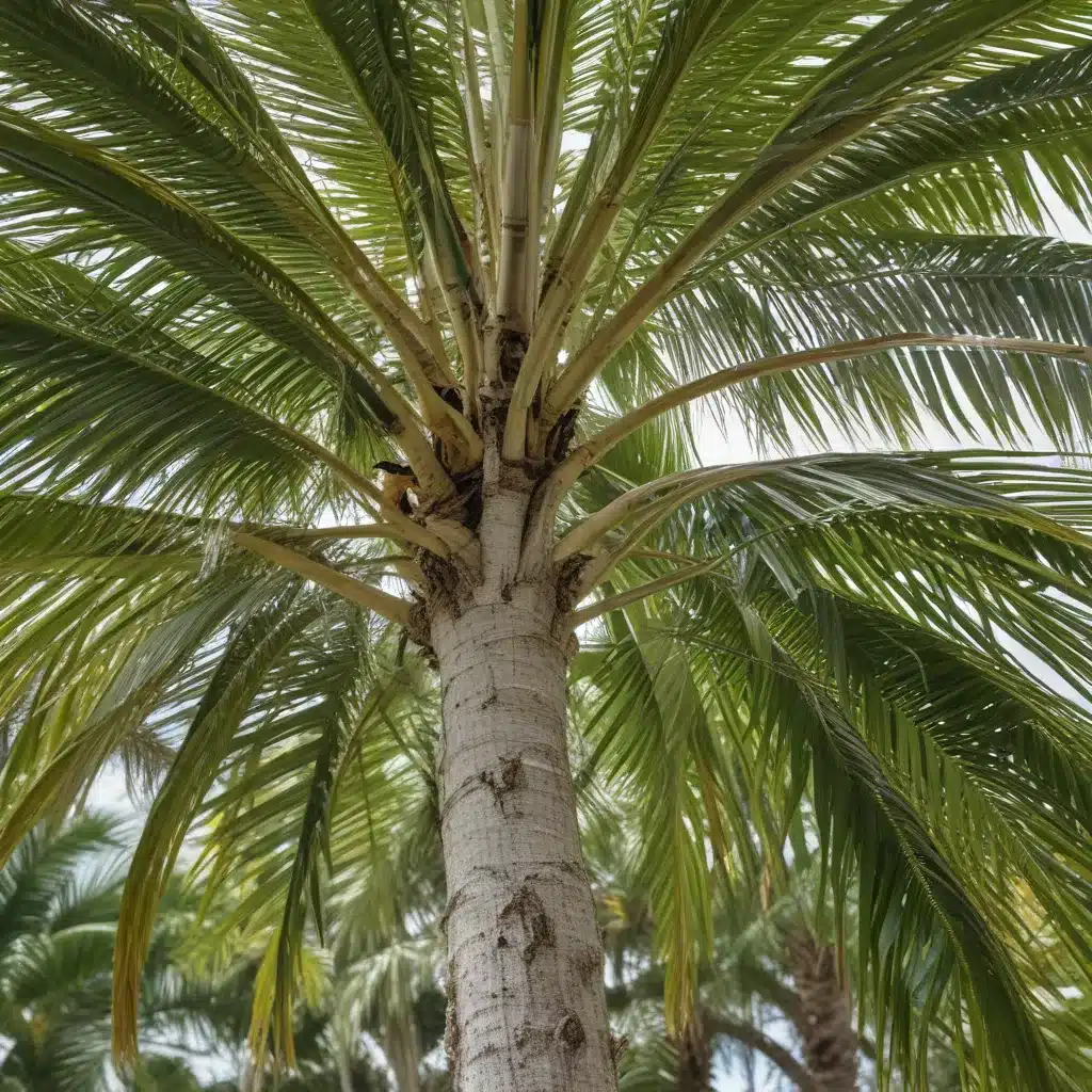 Tackling Palm Beach’s Tree Pests: Effective Identification and Treatment