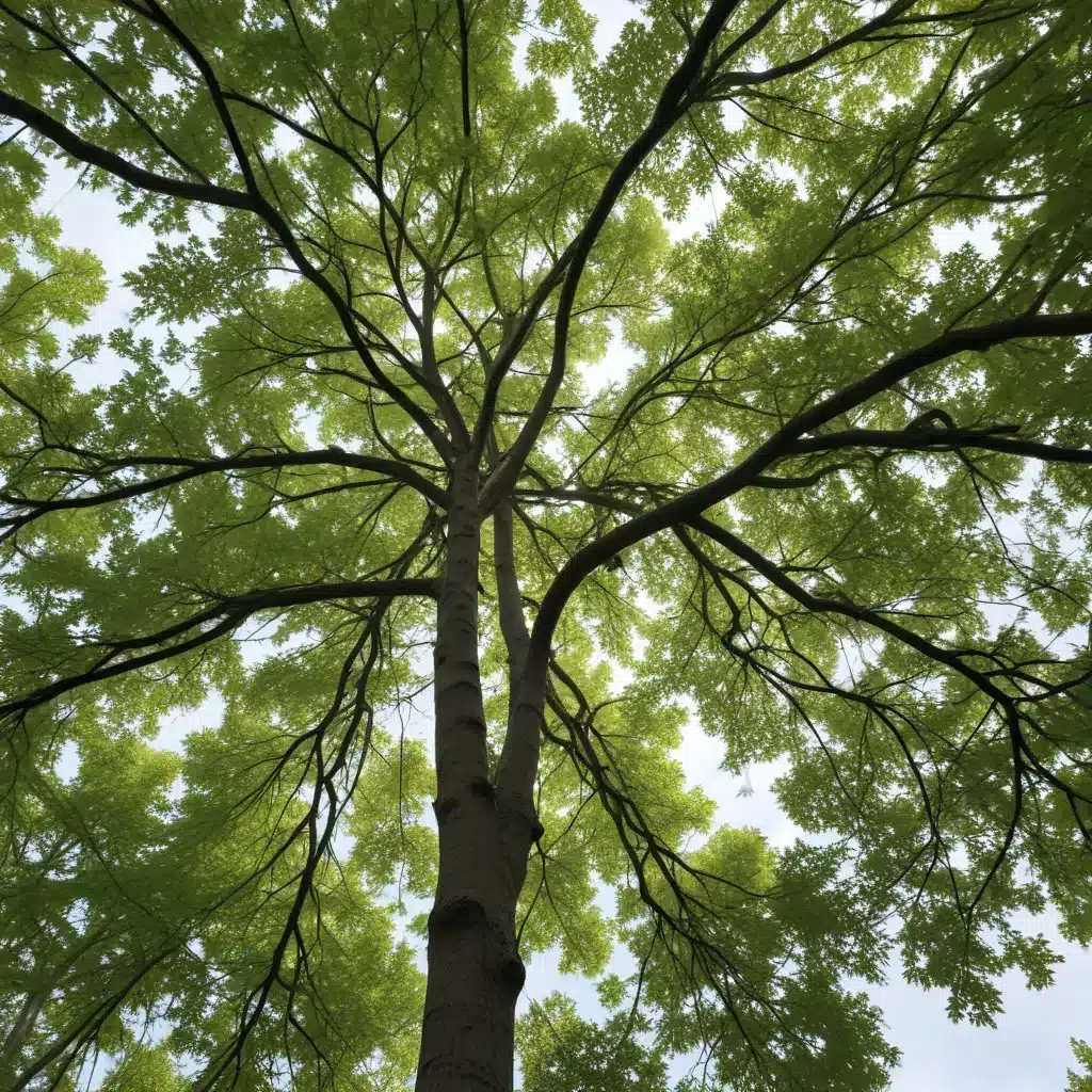 The Resilient Canopy: Preparing Trees for Storm Season