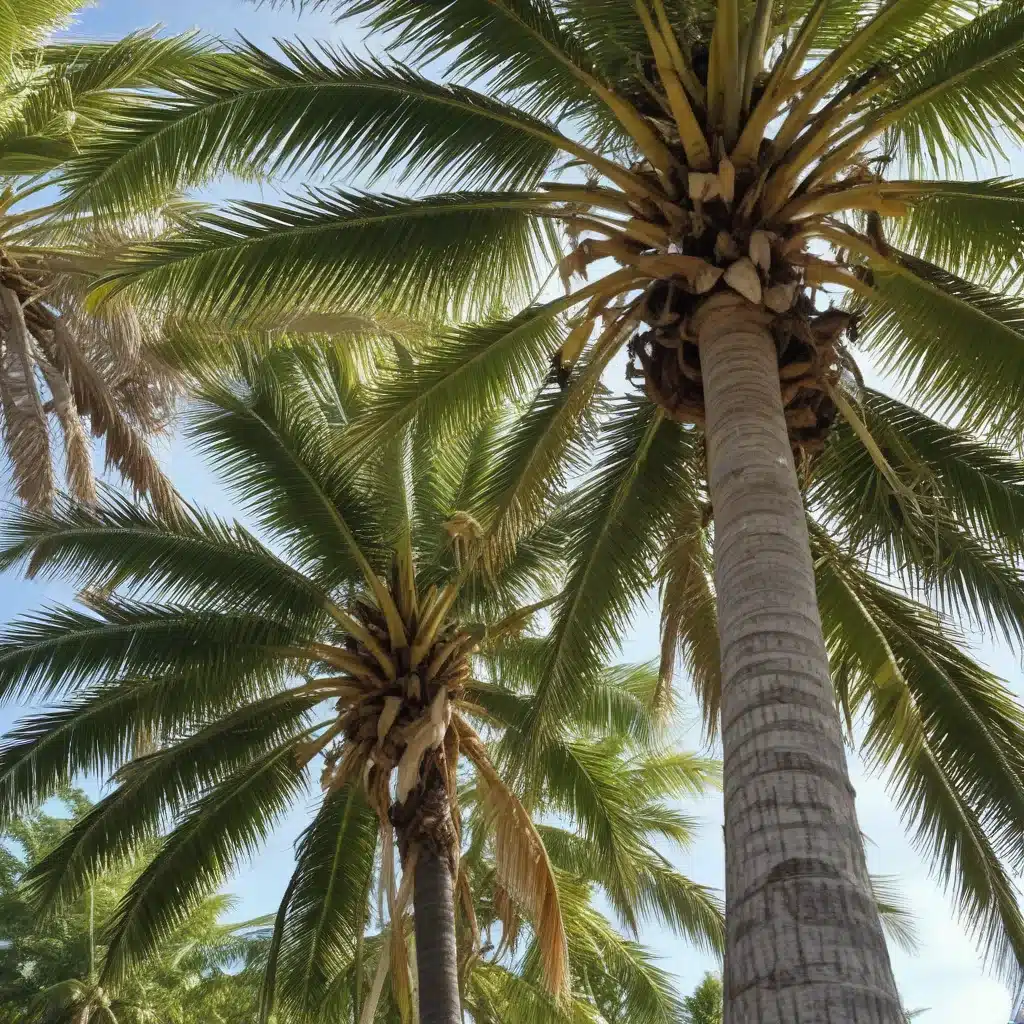 The Vital Role of Arborists in Safeguarding Palm Beach County’s Iconic Coconut Palms