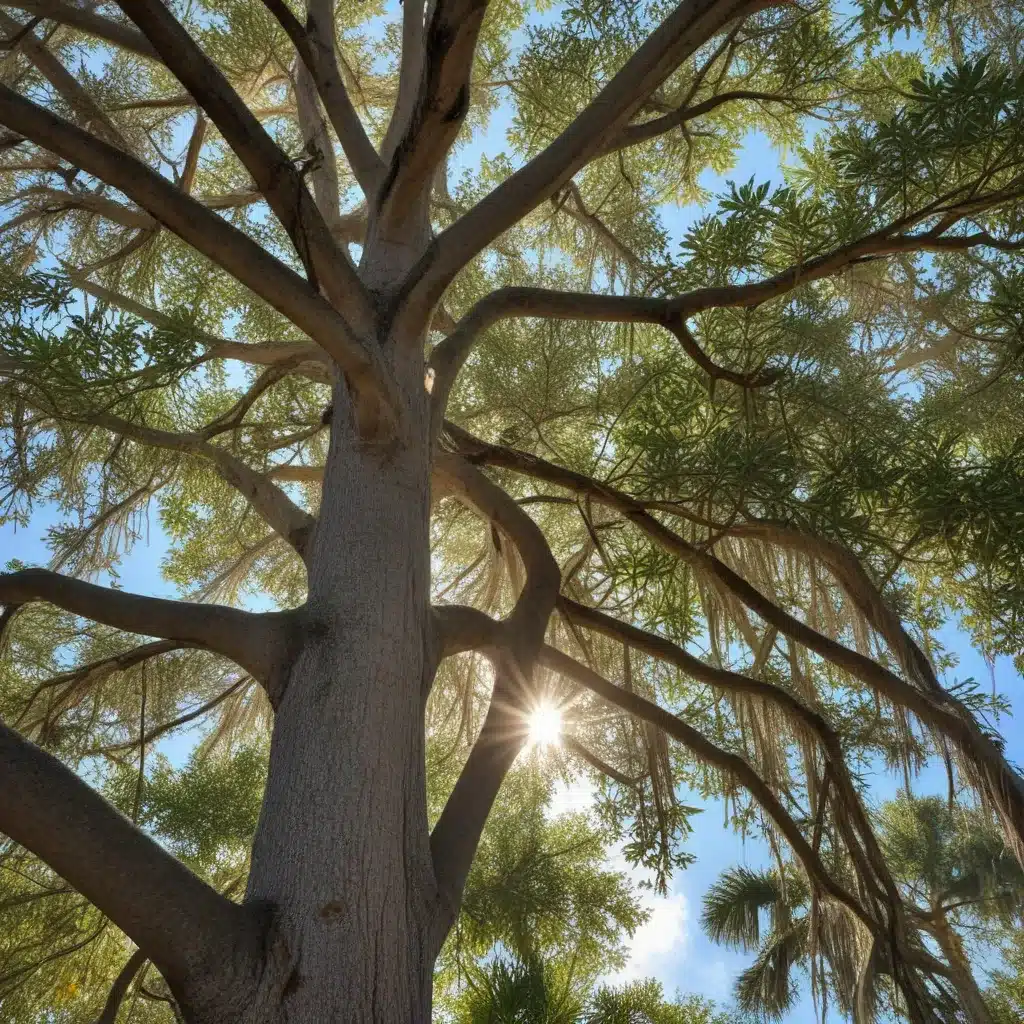Unlocking the Beauty of Florida’s Native Trees and Plants