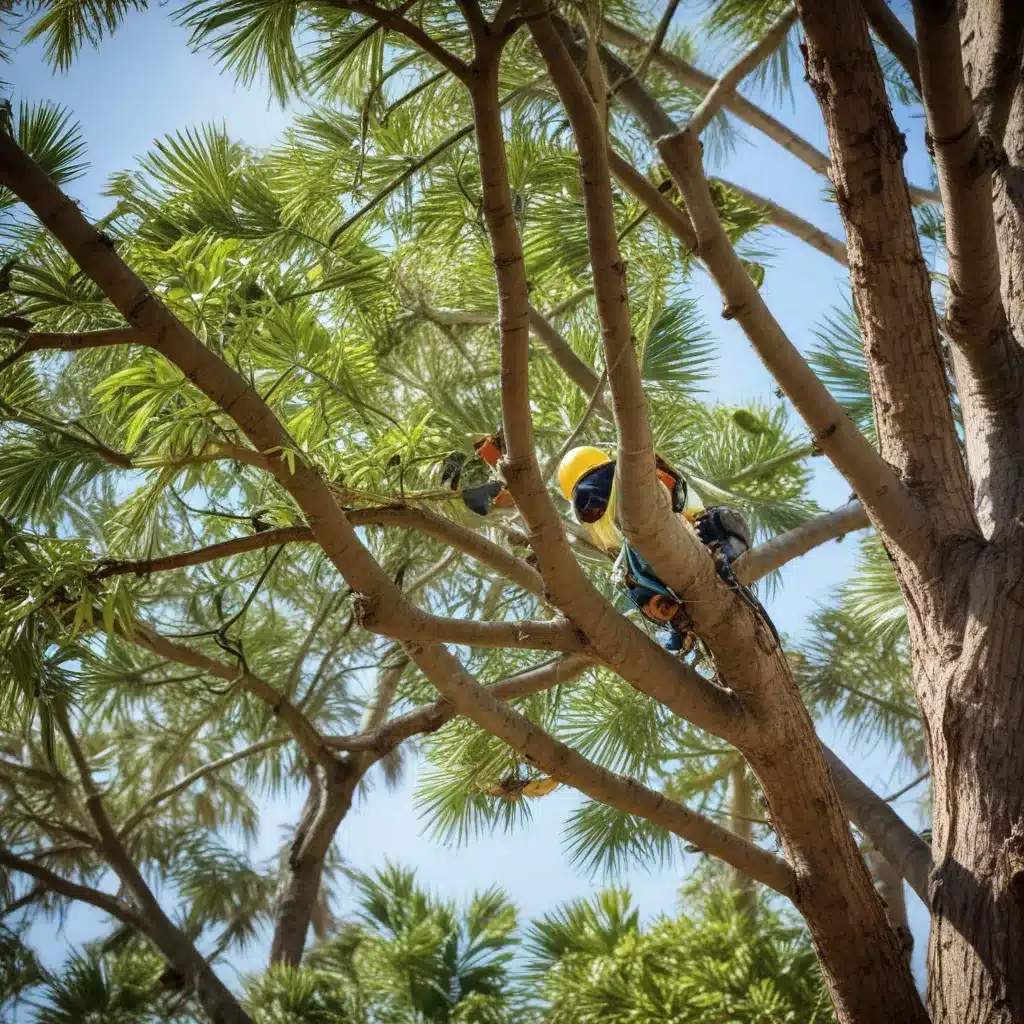Unlocking the Hidden Dangers of Tree Topping: Why It’s Best Avoided in Palm Beach