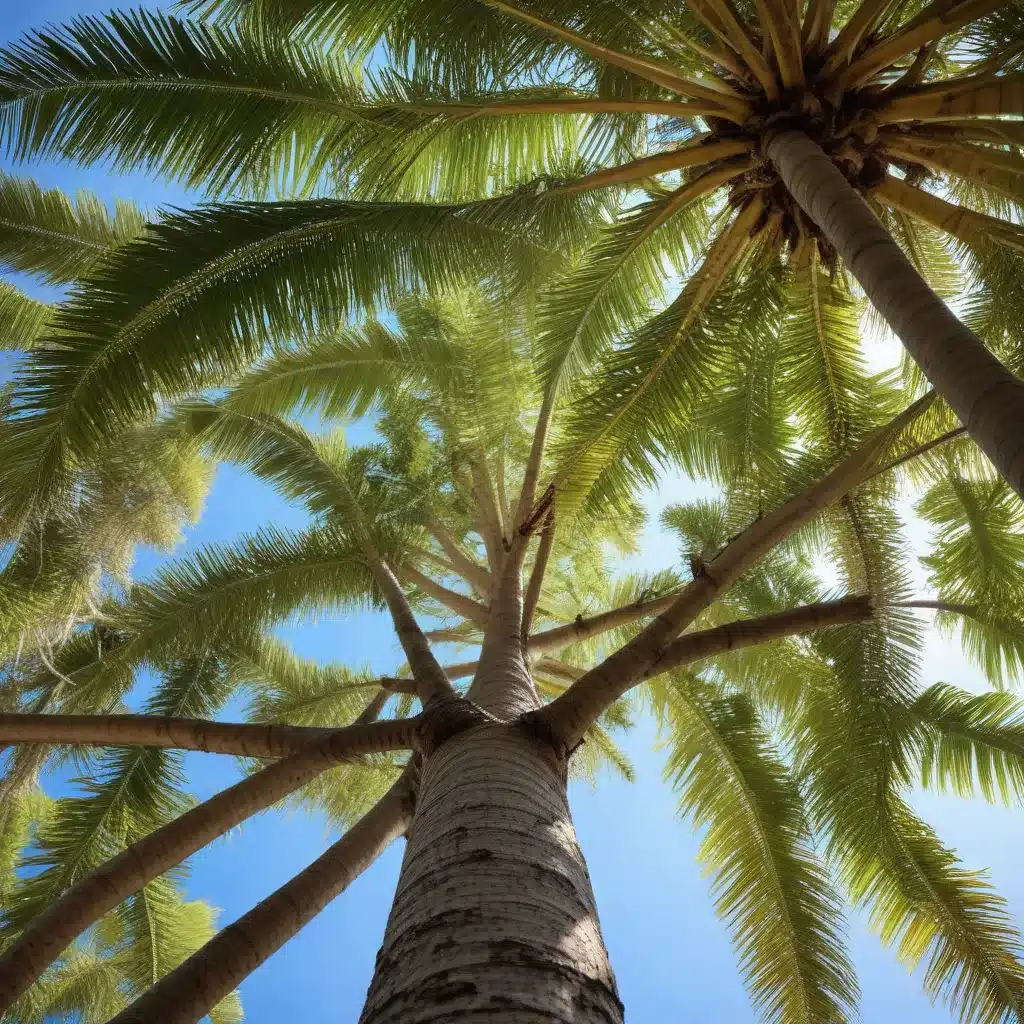 Unlocking the Secrets to Healthy Trees in Palm Beach: A Comprehensive Guide for Local Property Owners