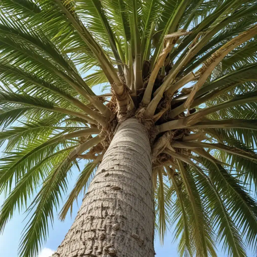 Unraveling the Mysteries of Sustainable Palm Beach Tree Care