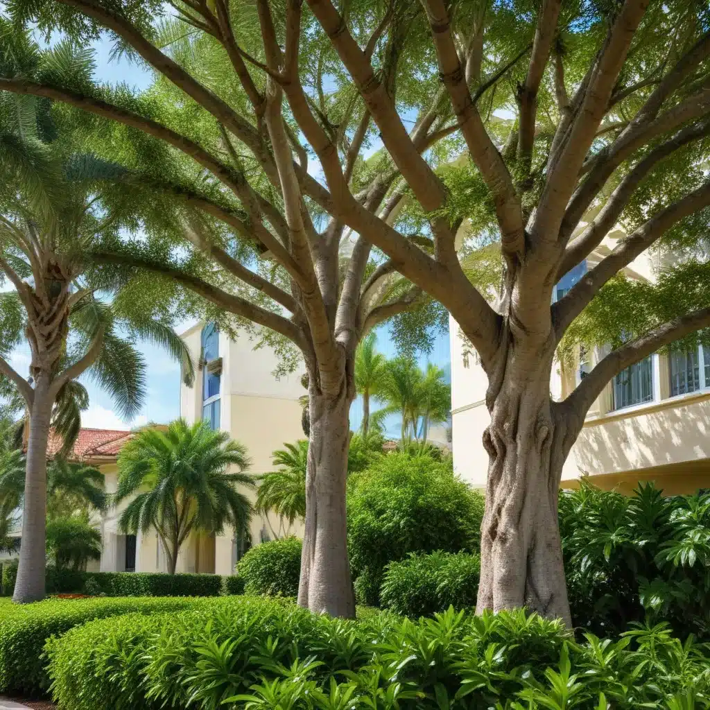 Verdant Visions: Residential vs. Commercial Tree Landscaping Design in Palm Beach