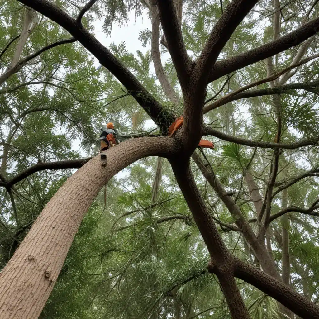 Weathering the Storm: How Professional Arborists Safeguard Trees During Hurricanes in Palm Beach County